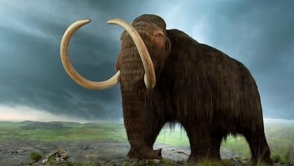 Shall we bring back the extinct animals?