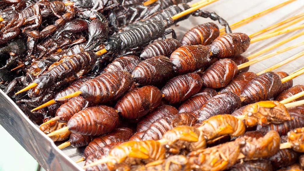 Save the world by eating insects